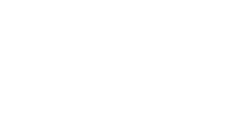 Explore the Brinkmann Pumps Universe